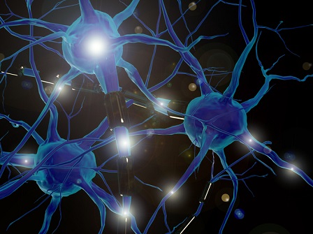 Neurons – Neural networks