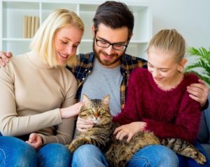 pet friendly therapy - family with cat